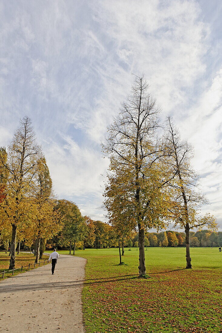 Autumn in Englisch Garten, Munich, Upper Bavaria, Bavaria, Germany