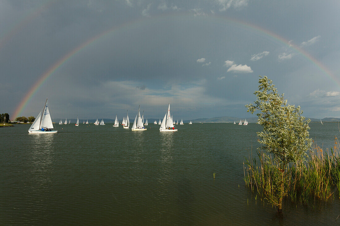 Segelboote und Regenbogen bei Lago Trasimeno, Regatte, Trasimenischer See, bei Castiglione del Lago, Provinz Perugia, Umbrien, Italien, Europa