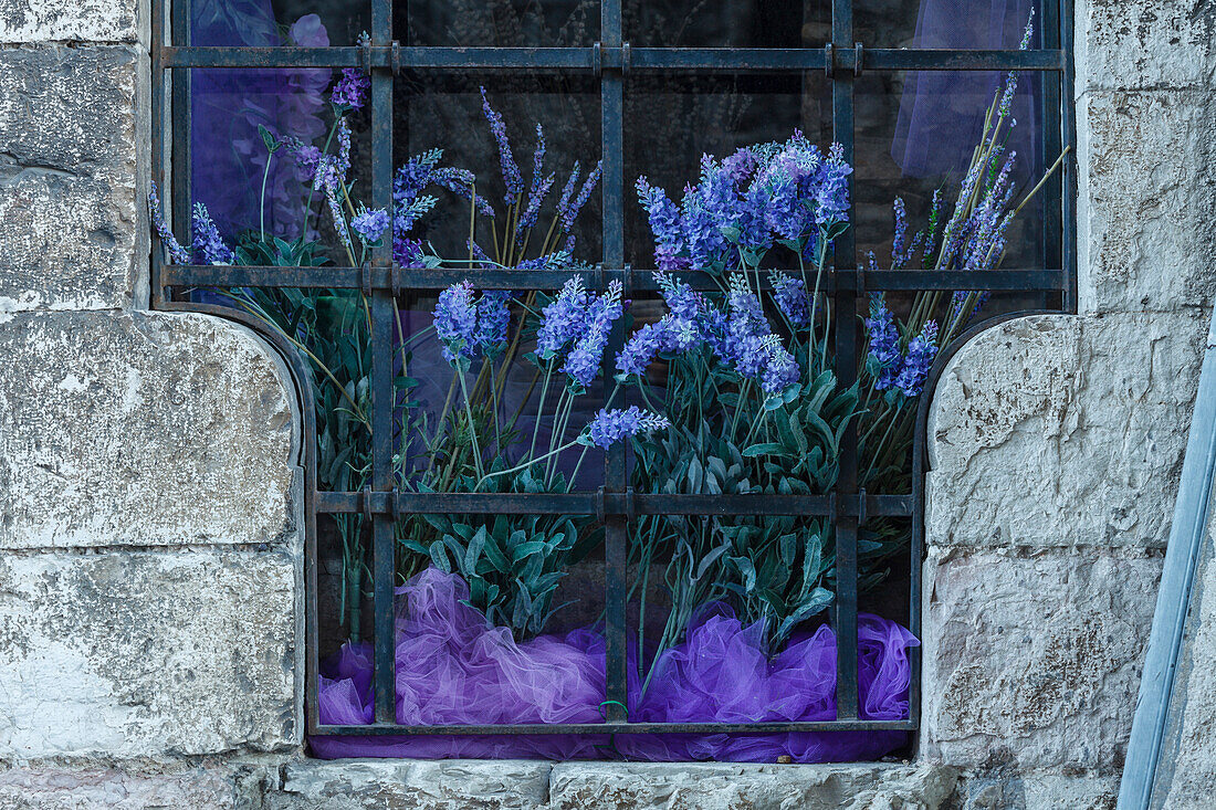 Lavendel am Fenster, Altstadt, Gubbio, Franziskus von Assisi, Via Francigena di San Francesco, Franziskusweg, Gubbio, Provinz Perugia, Umbrien, Italien, Europa