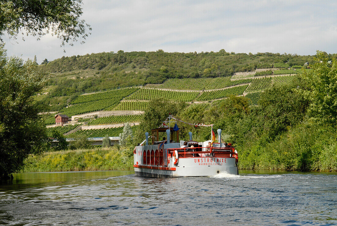 Steamer on the Unstrut river, vineyards in background, Naumburg, Saxony-Anhalt, Germany