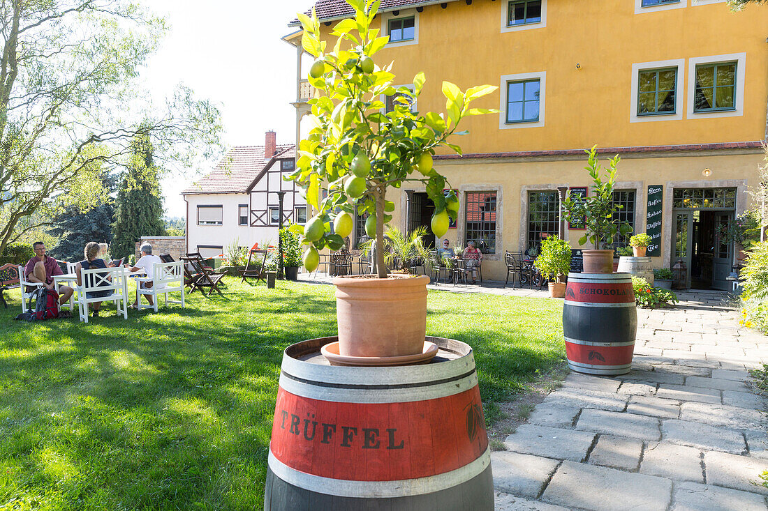 Barrels on a path to a chocolaterie, Weissig, Saxony, Germany