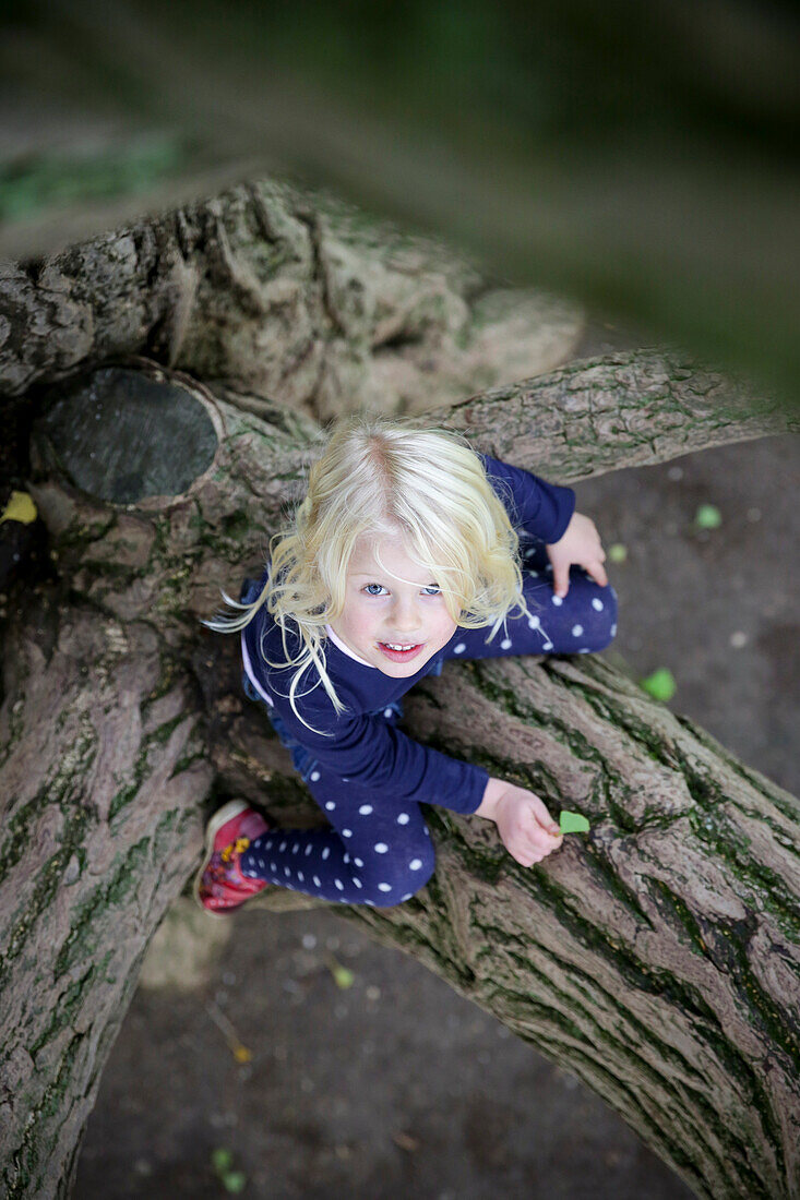 Girl sitting in a ginkgo tree, Goseck, Saxony-Anhalt, Germany