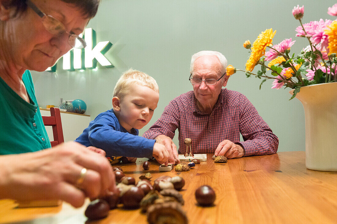 Grandparents and boy (3 years) making chestnut figures, Leipzig, Saxony, Germany