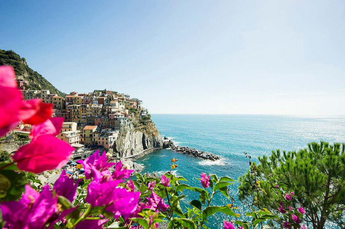 Blick auf Manarola, Riomaggiore, Cinque Terre, La Spezia, Ligurien, Italien