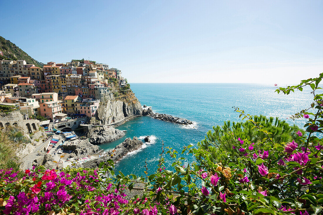 Blick auf Manarola, Riomaggiore, Cinque Terre, La Spezia, Ligurien, Italien