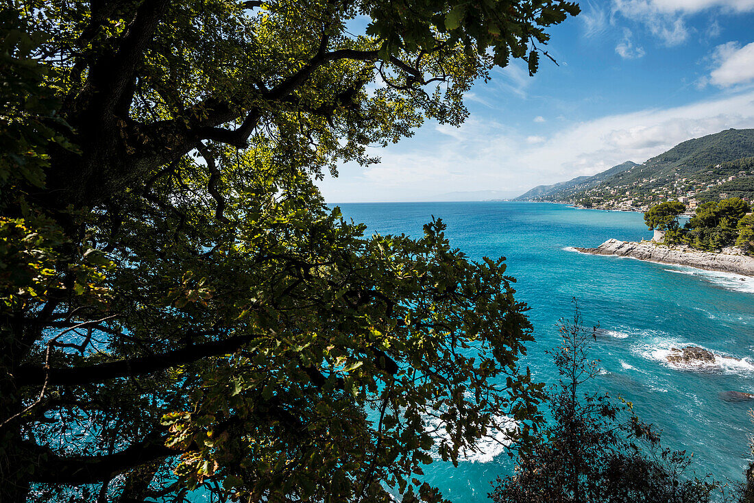 Küste bei Camogli, Provinz Genua, Riviera di Levante, Ligurien, Italien