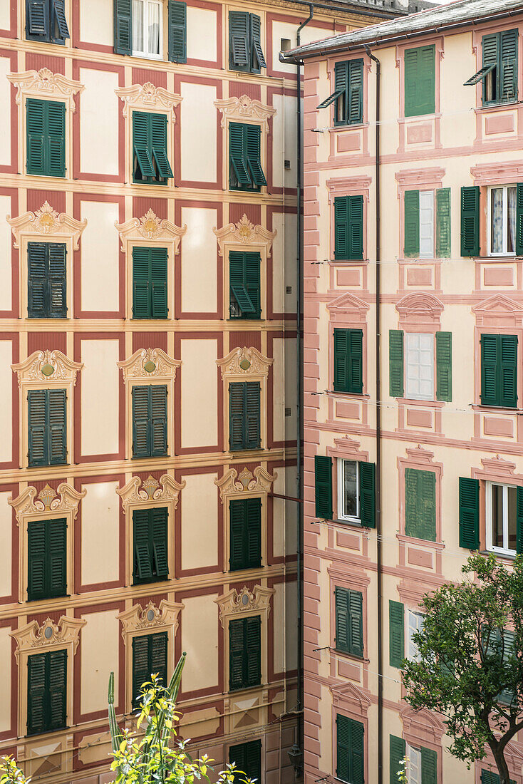 Fascade with real and painted windows, Camogli, province of Genua, Italian Riviera, Liguria, Italia