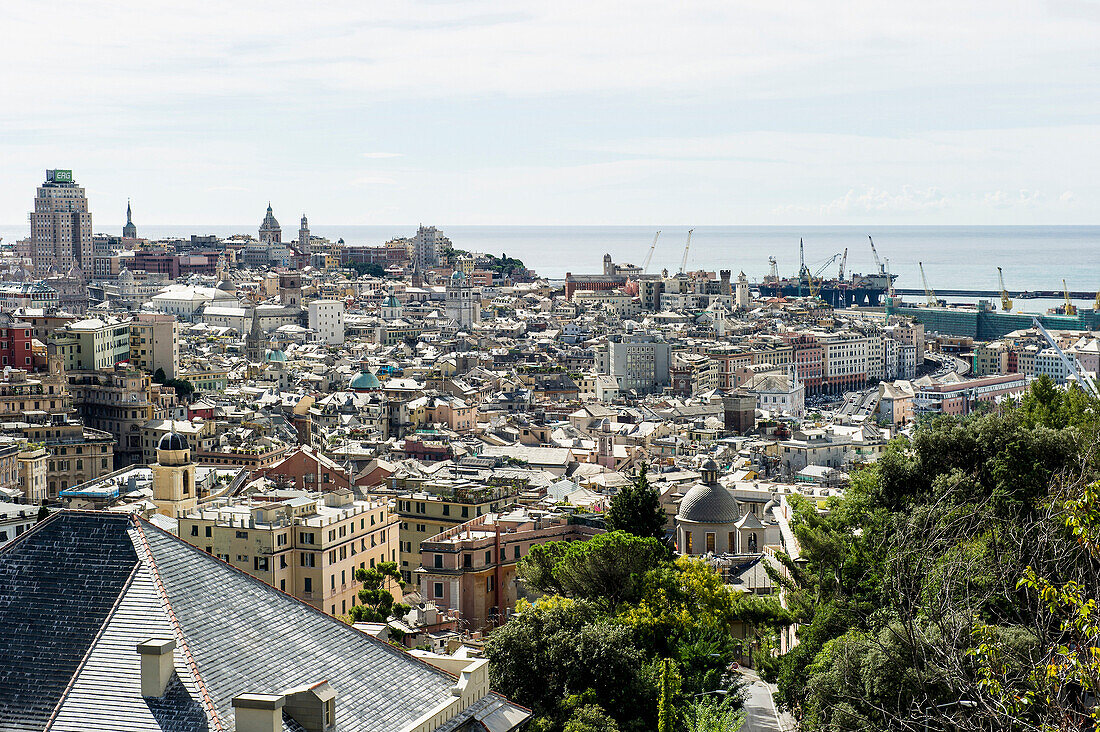 Cityscape with harbor, Genoa, Liguria, Italia
