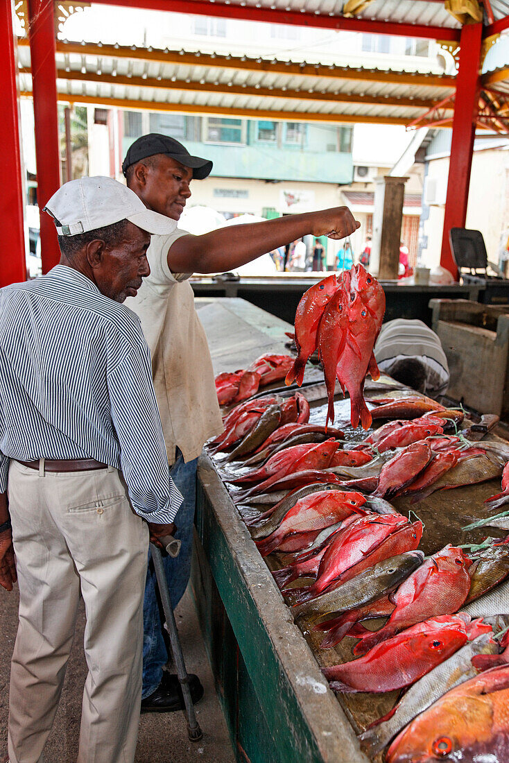 Victoria Fish Market, Mahe Island Seychelles, Indian Ocean