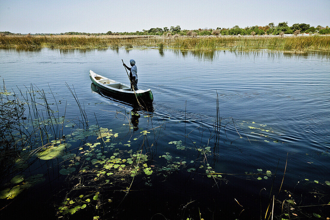 Mann stehend in einem Kanu gleitet durch die Gewässer des Okavango Deltas, Botswana, Afrika