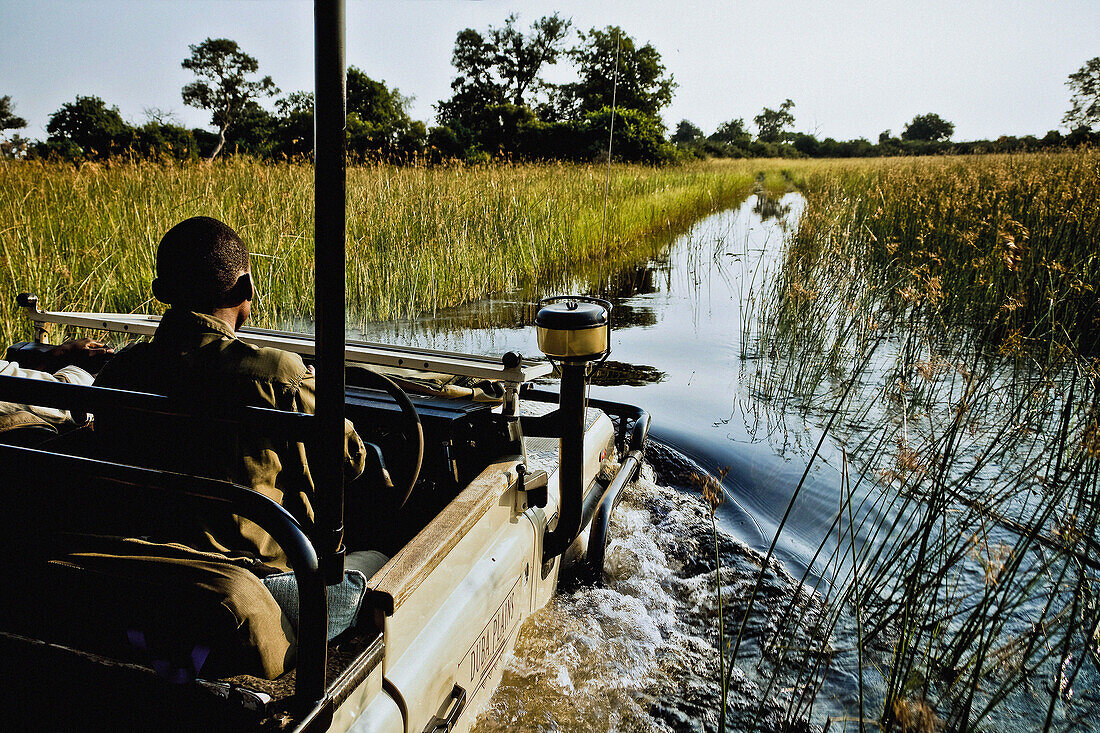 Pirschfahrt auf der Duba Insel im Okavango Delta, Botswana, Afrika