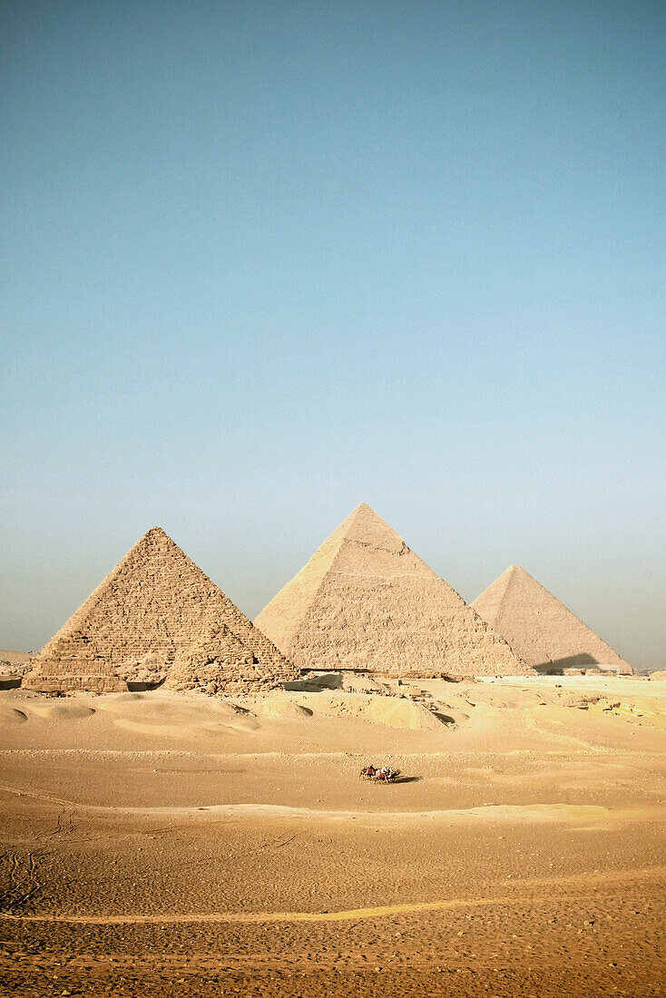 Vier Dromedare mit Reiter vor den Pyramiden von Gizeh, Ägypten, Afrika