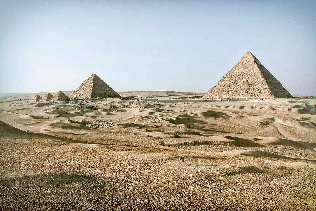 Dromedar mit Reiter vor den Pyramiden von Gizeh, Ägypten, Afrika