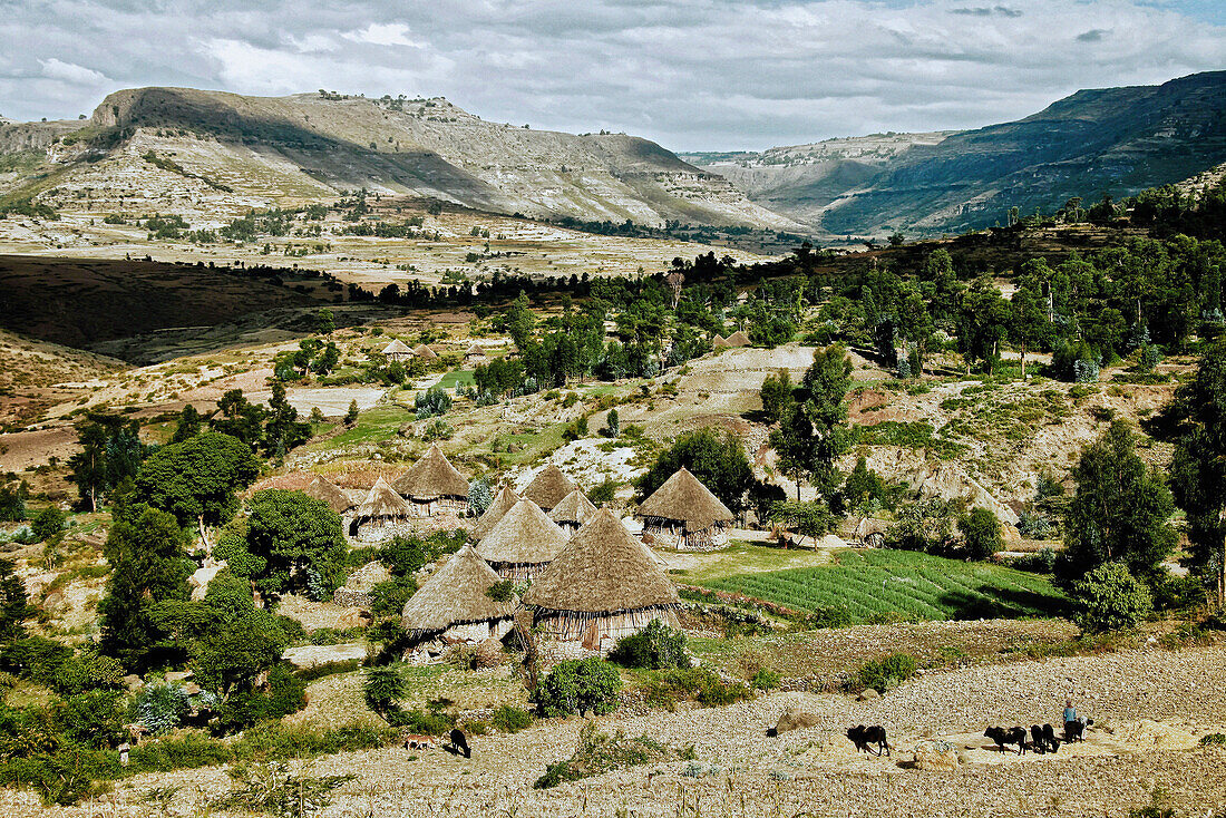 Landscape in the Ethiopian Highlands, Ethiopia, Africa