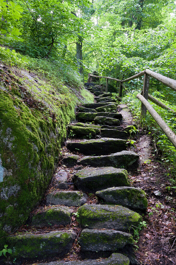 Rock steps, Granit rocks, castle grounds at Falkenstein, Falkenstein, Bavarian Forest, Bavaria, Germany