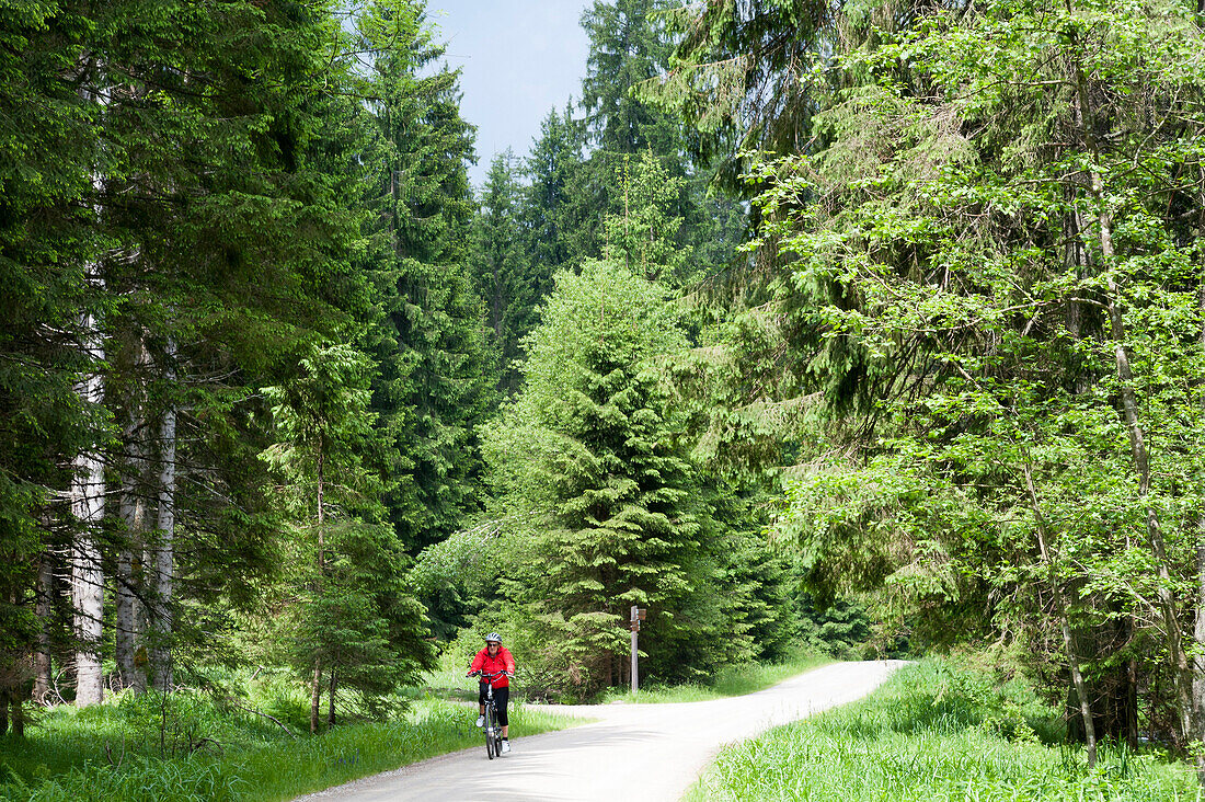 Radler im Schmalzbachtal, Zwieseler Waldhaus, Bayerischer Wald, Bayern, Deutschland