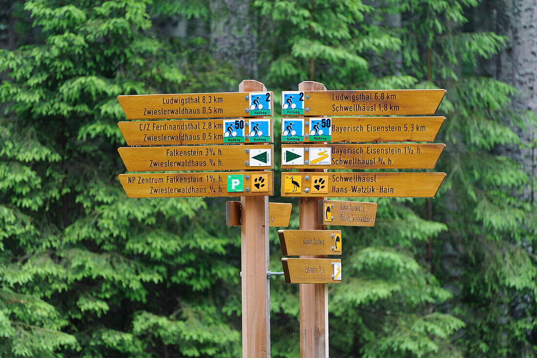 Hiking trail signs, Zwieseler Waldhaus, Bavarian Forest, Bavaria, Germany