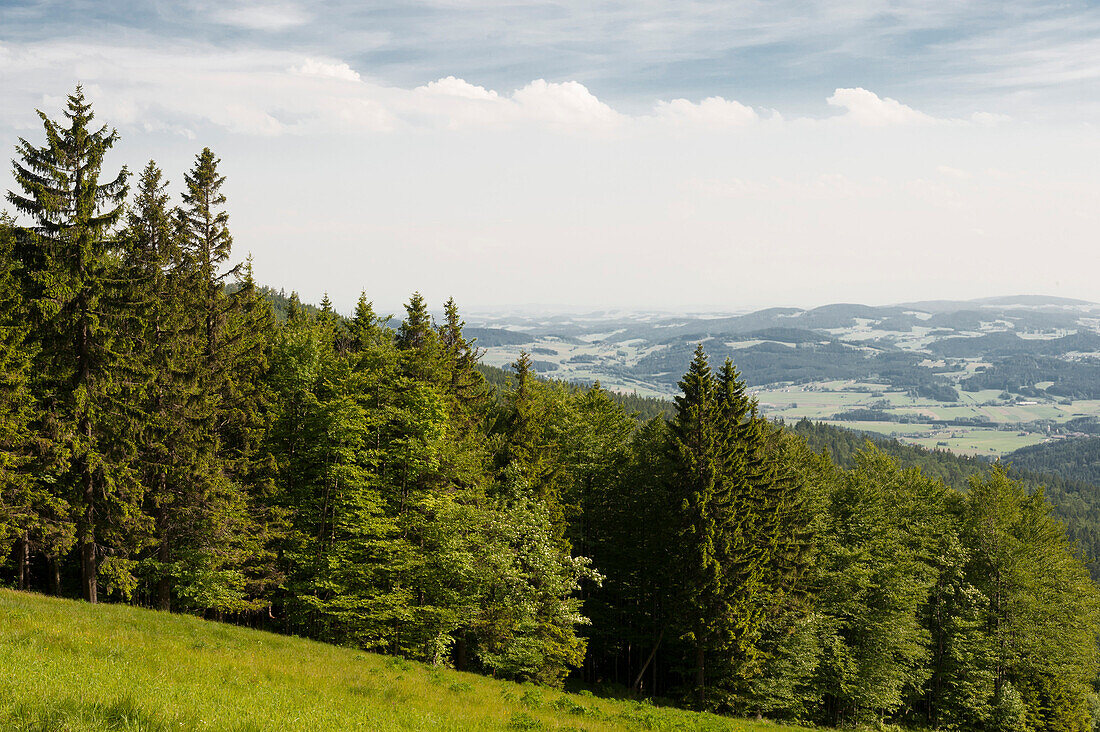 Skigebiet am Hochficht im Sommer, Mühlviertel, Böhmerwald, Niederösterreich, Österreich