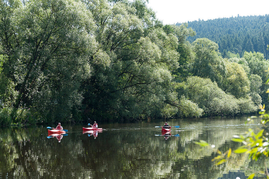kayakers on the river Schwarzer Regen, Bavarian Forest, Bavaria, Germany
