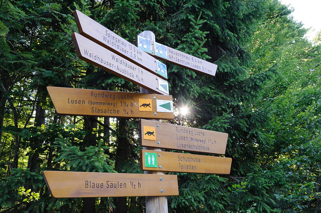 Signposts for hikers and bikers, Bavarian Forest, Bavaria, Germany