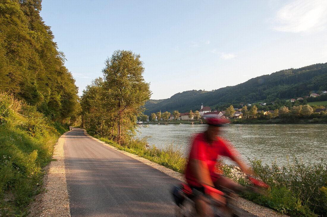 Radweg an der Donau, Engelhartszell, Oberösterreich, Österreich