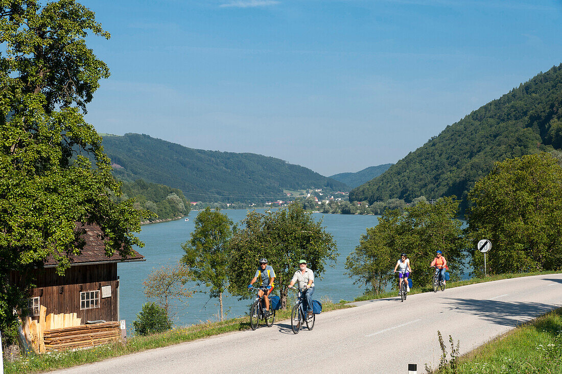 Radweg an der Donau bei Engelhartszell, Oberösterreich, Österreich