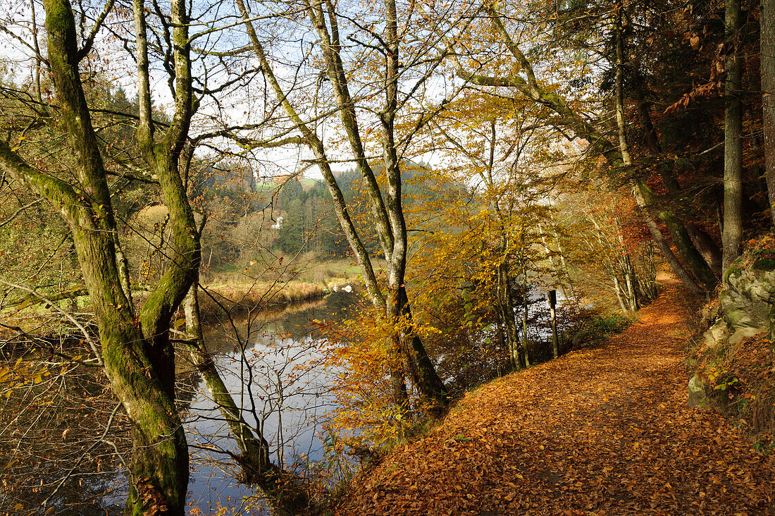 River Ilz near Schrottenbaummuehle, Bavarian Forest, Bavaria, Germany