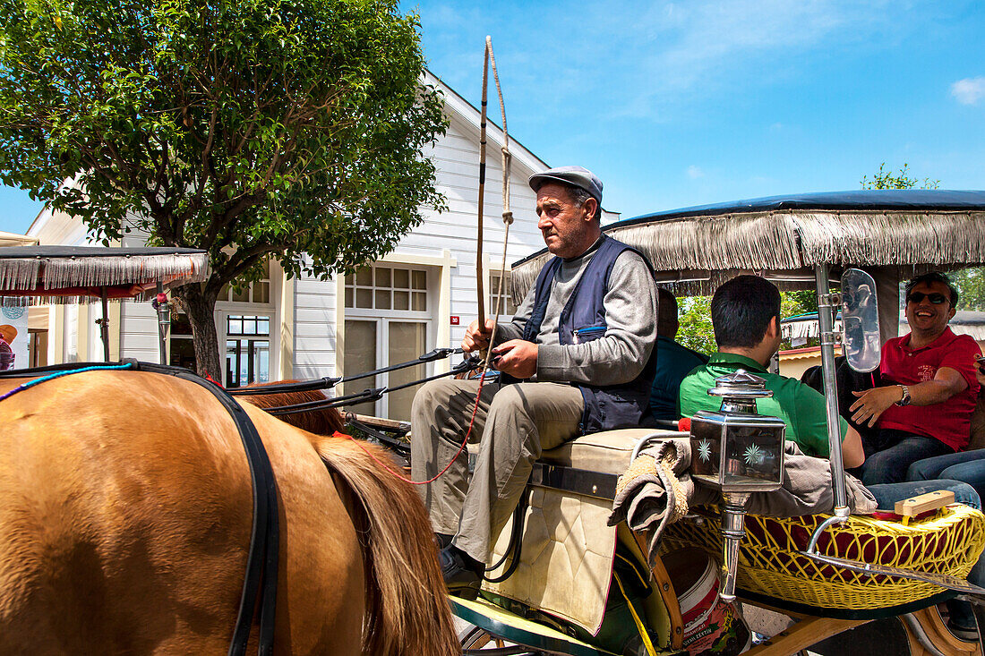 Horse drawn tourist carriage, Buyukada Island, Princess Islands, Marmara Sea, Istanbul, Turkey