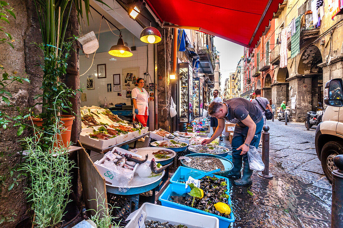 Market stall with fish, Naples, Bay of Naples, Campania, Italy