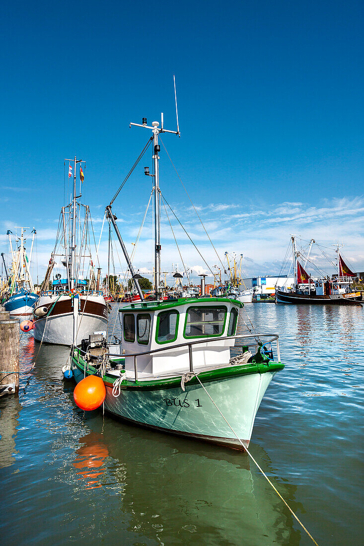Fishing boats in the harbour, Buesum, Dithmarschen, North Sea coast, Schleswig-Holstein, Germany