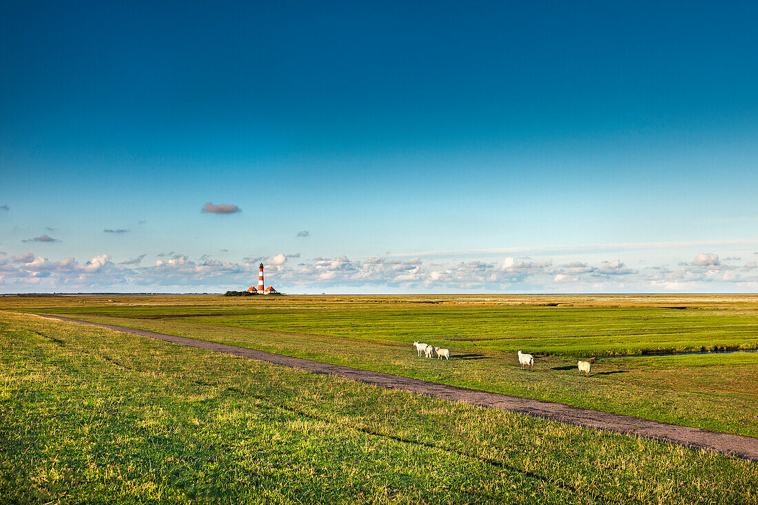 Leuchtturm Westerhever, Halbinsel Eiderstedt, Nordfriesland, Schleswig-Holstein, Deutschland