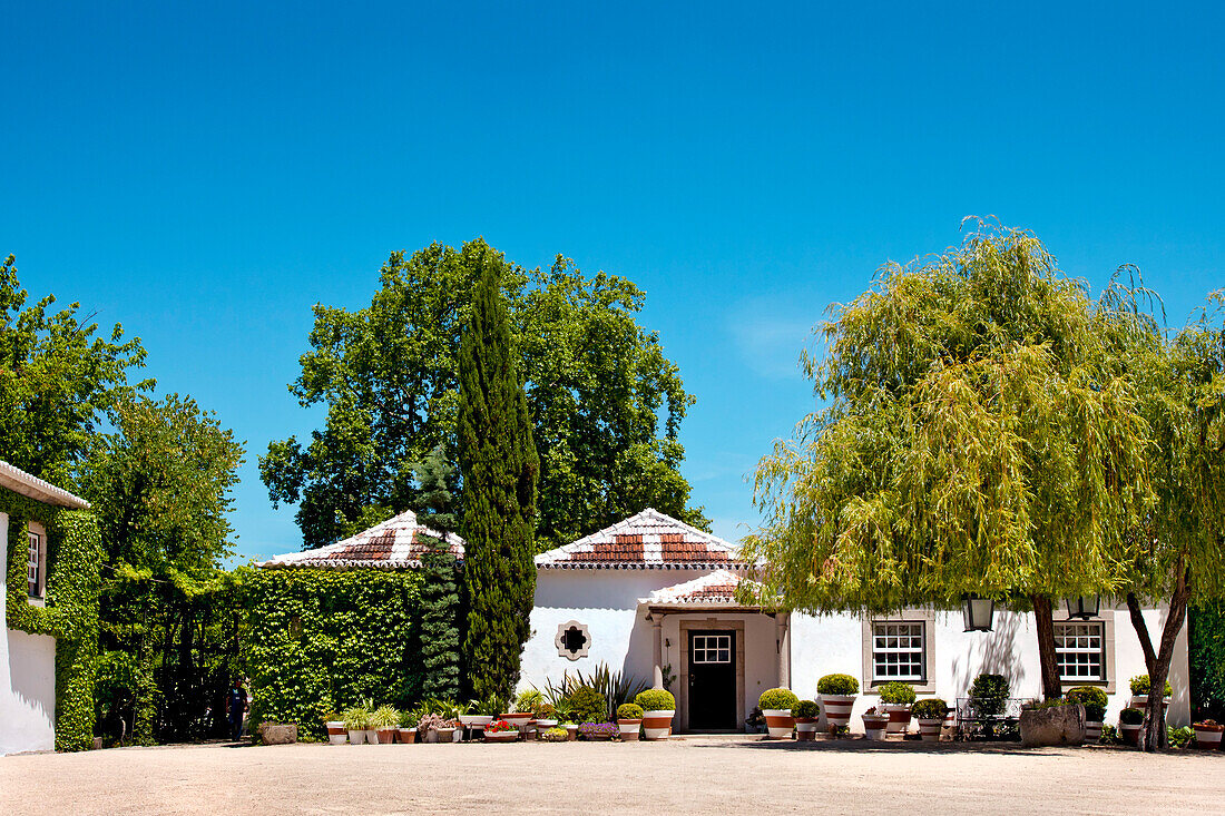 Weingut Quinta da Pacheca, Lamego, Douro Gebiet, Porto, Nordportugal, Portugal