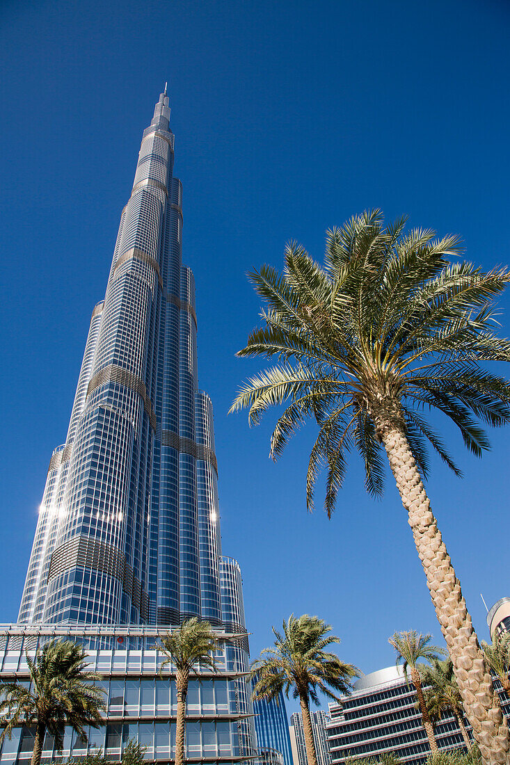 Burj Khalifa tower and palm trees, Dubai, United Arab Emirates