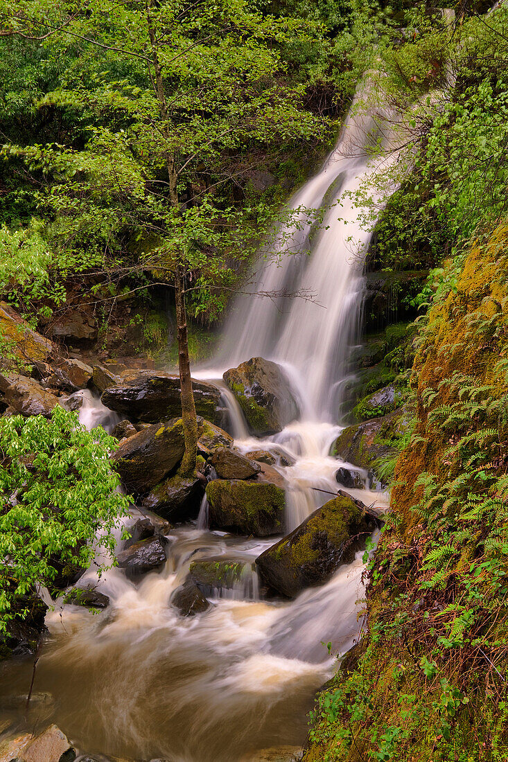 Devils Falls near Foresthill in the American River Canyon in California, Devils FAlls, CA, USA