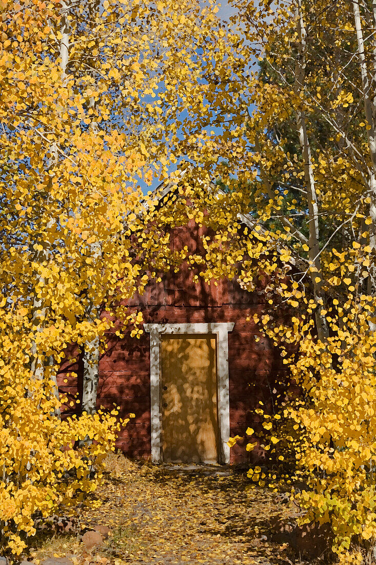 A red mountain cabin and yellow fall aspen trees in Truckee in California, truckee, ca, usa