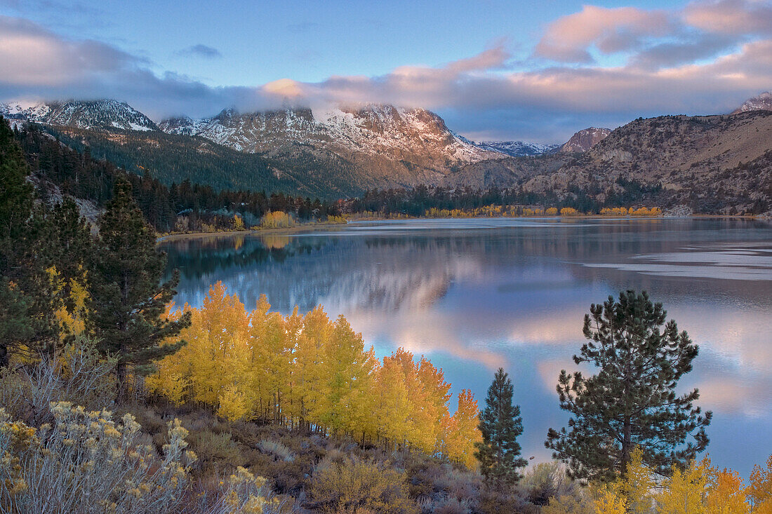 Yellow aspens clouds and a mountain  reflecting in June Lake in the fall in the Sierra mountains of California, ca, usa