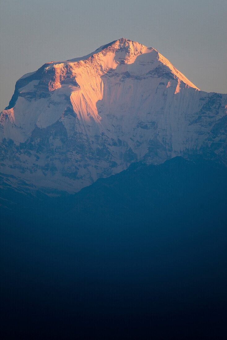 Dhaulagiri Mountain as seen from Poon Hill, Nepal Ghorepani, Annapurna Conservation Area, Nepal