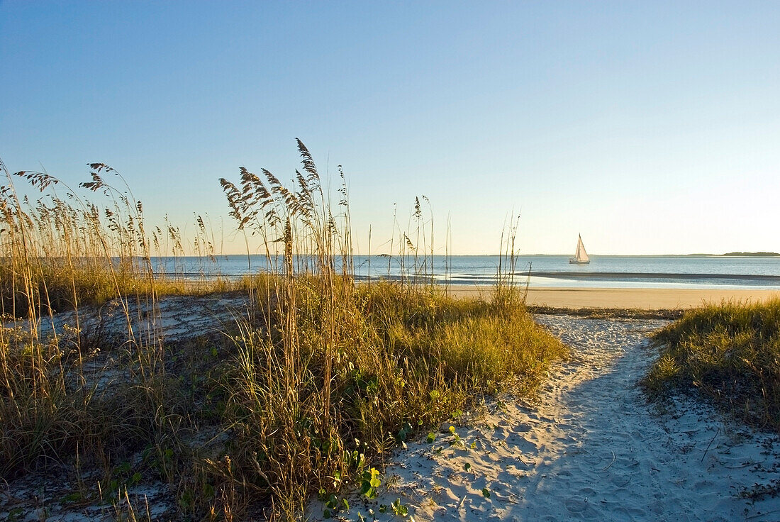 A sand pathway leads to the beach with a sailboat in the background on Hilton Head Island, SC Hilton Head Island, South Carolina, USA