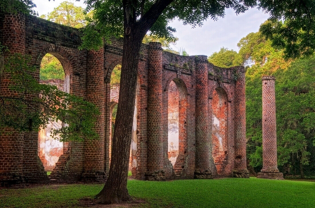 Morning light on the Old Sheldon Church Ruins in Yemassee, South Carolina Yemassee, South Carolina, USA
