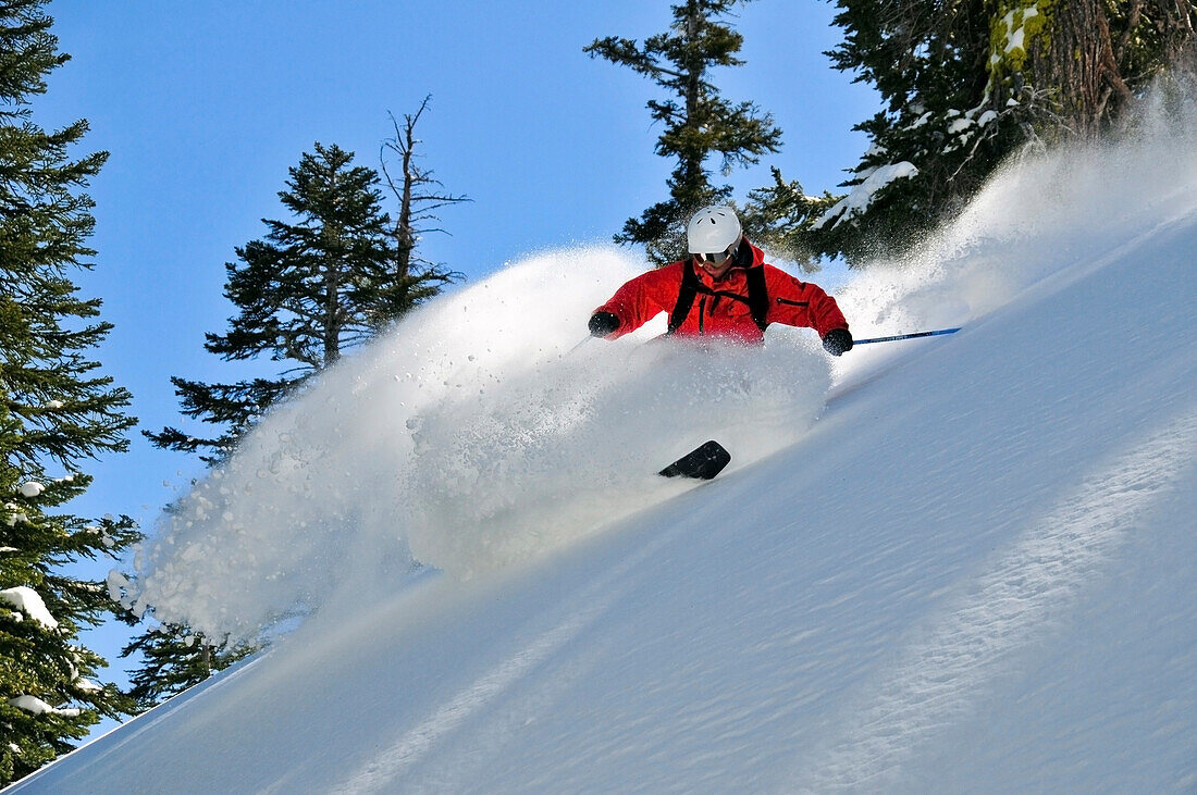 A male skier makes a big powder turn in the Kirkwood backcountry, CA Kirkwood, California, USA