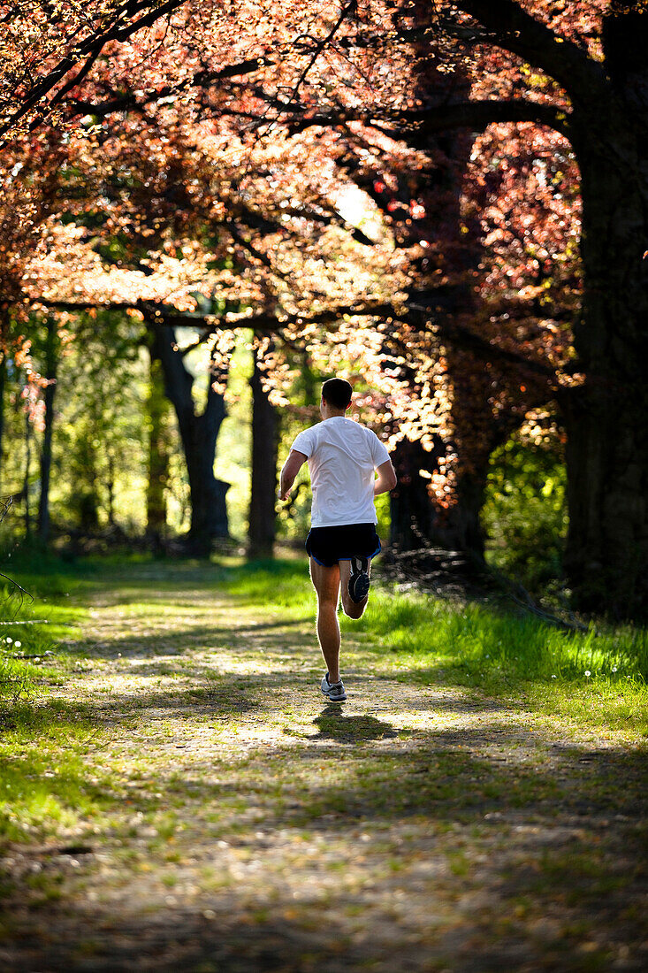 A man wearing a white shirt runs along a trail in Rockefeller State Park in Sleepy Hollow, New York Sleepy Hollow, New York, United States of America