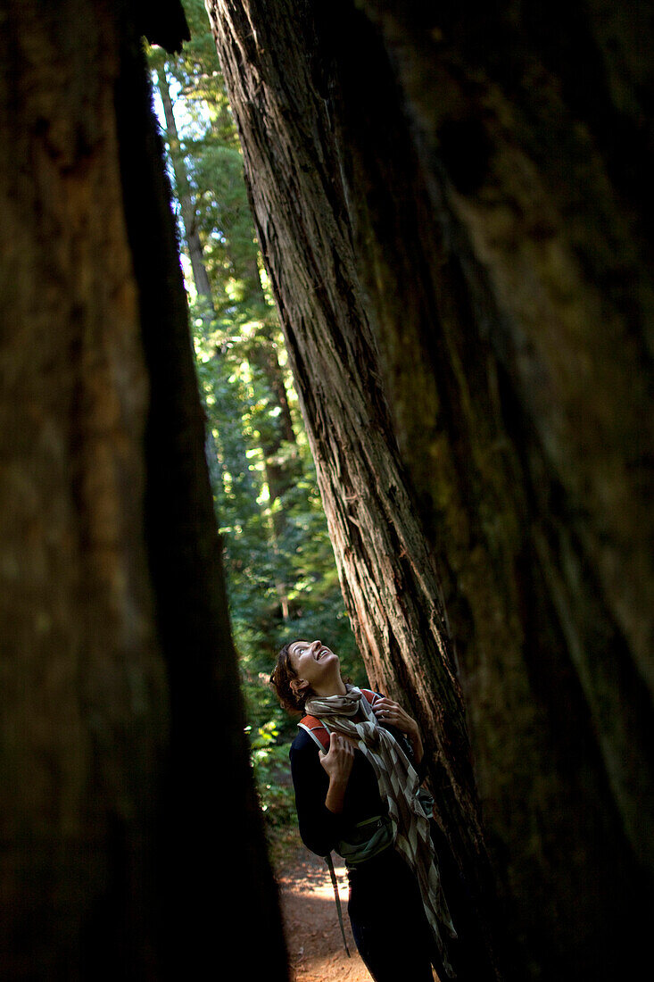A young woman looks up at towering coast redwoods (Sequoia sempervirens) at Prairie Creek Redwoods State Park in Humboldt County, California, California, USA