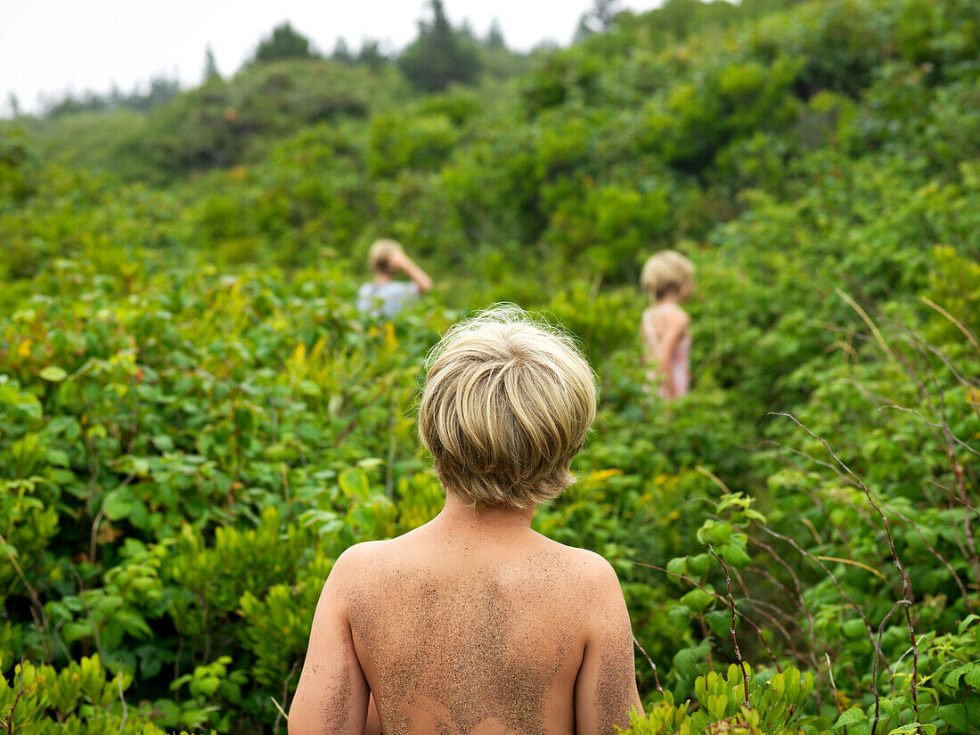 siblings search for wild blueberries, maine, usa