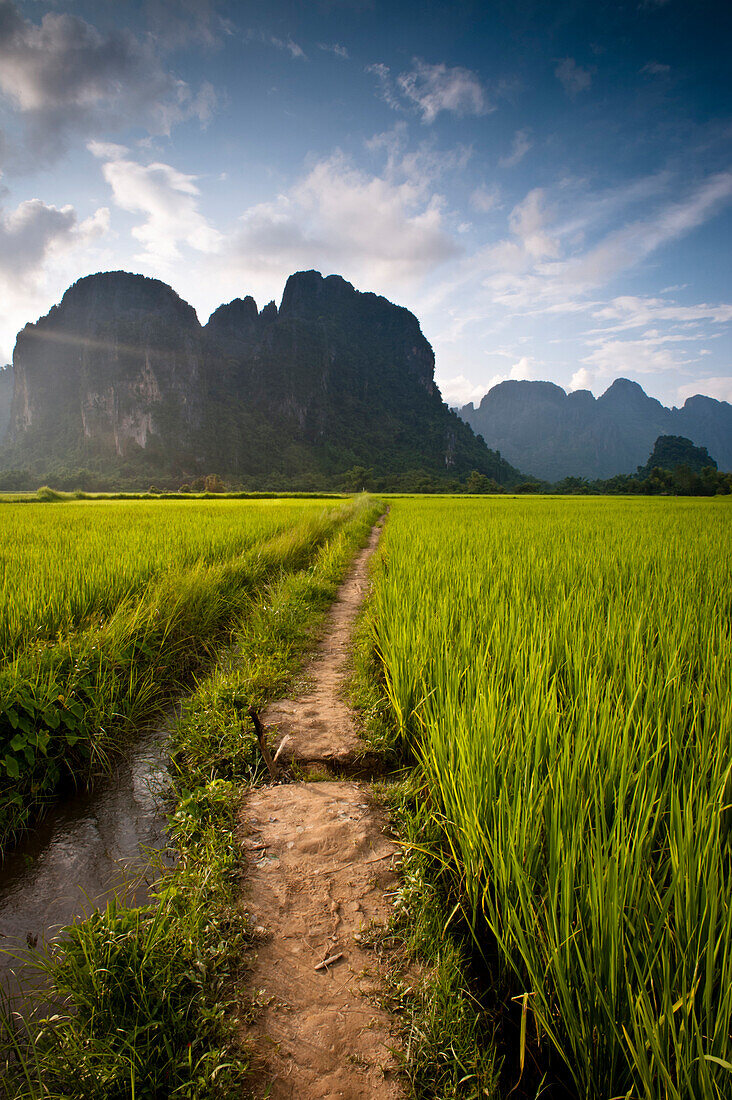 Path through rice paddies leading to mountains. Vang Vieng, Laos, Asia Vang Vieng, Vientiane, laos