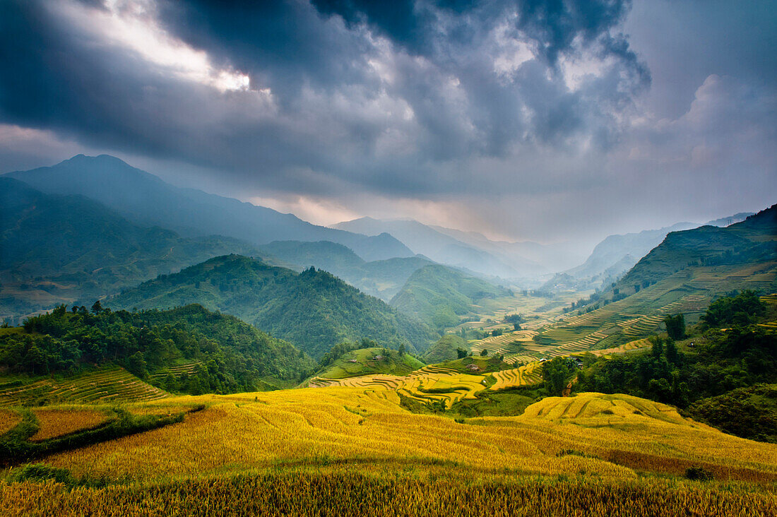 Rice paddies and mountains in mist and clouds.  Sapa, Vietnam, Asia Sapa, Vietnam