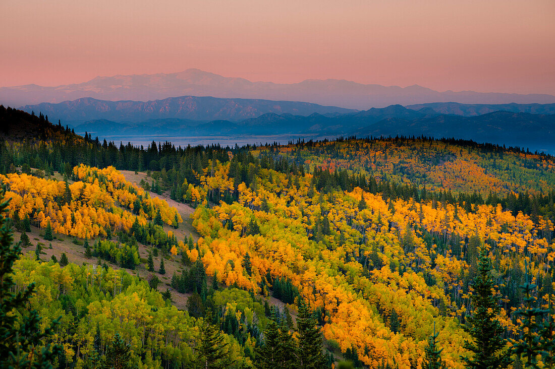 Aspen trees and mountains.  Westcliffe, Colorado Westcliffe, Colorado, United States