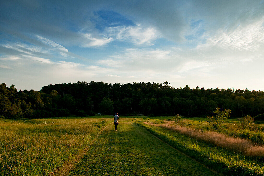 A young man strolls down a grassy road during the evening light outside Acadia National Park, Maine Acadia National Park, Maine, USA