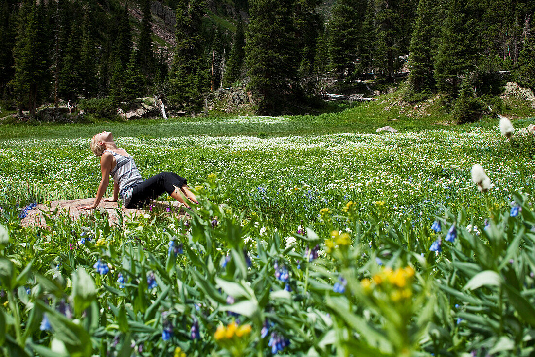 A young woman relaxes on a rock taking in the beauty of the wildflowers and fresh air Vail, Colorado, USA