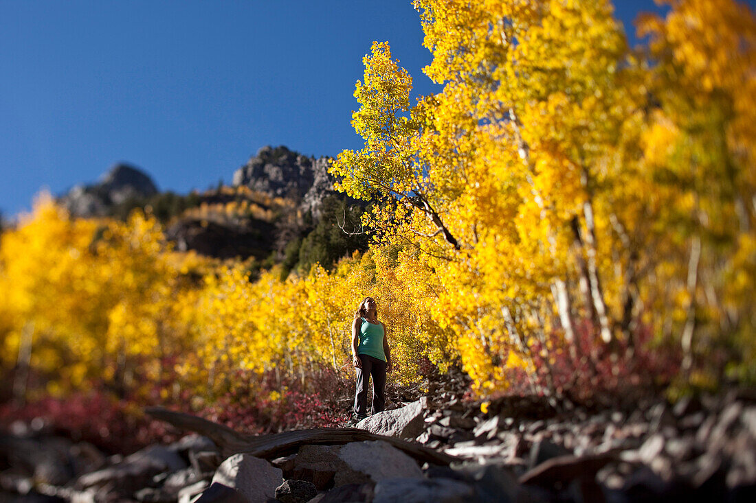 A young woman hiking stops to enjoy the amazing fall colors in Colorado Aspen, Colorado, USA