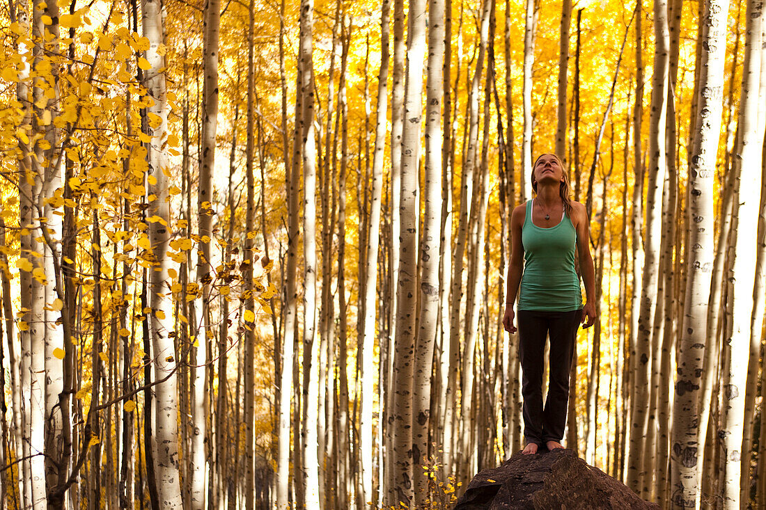 A young woman standing peacefully on a rock in the midst of a sea of gold aspen leaves Aspen, Colorado, USA